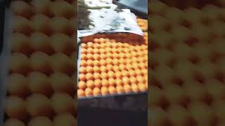 Kanpur dudh ki tevar mithaai streetfood food mithai 🥛🥛🥛🥛🥛🍰 [upl. by Eiralam]