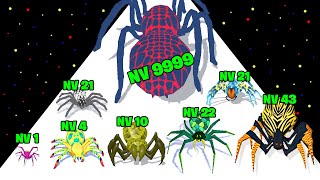 LA MEILLEURE ÉVOLUTION DARAIGNÉE GÉANTE  Spider Evolution  Runner Game [upl. by Aenej937]