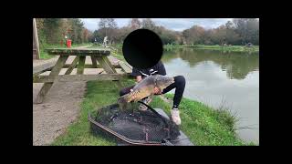 Hele video woldstek Ruinerwold fishing funny carpfishing carp memes [upl. by Anuait92]