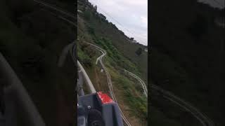 shorts ordu mountains alpinecoaster Boztepe dağ kızağı Ordu 😎 [upl. by Knutson]