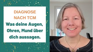 Die Leber öffnet sich in die Augen die Nieren in die Ohren  Organe und Sinnesorgane Diagnose TCM [upl. by Enttirb]