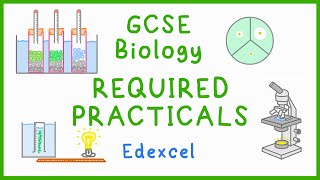 All BIOLOGY Required Practicals  GCSE Science Edexcel [upl. by Ynohtn]