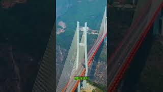 World tallest bridge🌉 bridg facts engineering gk generalknowledge engineeringmarvel [upl. by Livvie]