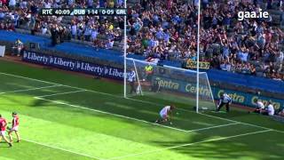 Top 5 GAA Hurling Goals  2013 [upl. by Nagap]