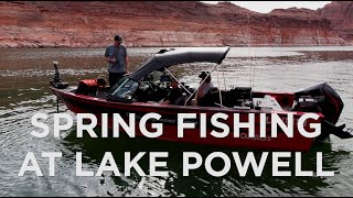 Spring Fishing and New Lund Boat Unveiled at Lake Powell [upl. by Ahsirtak]