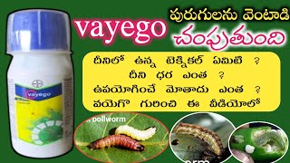 bayer vayego insecticide  vayego bayer insecticide  bayer vayego telugu vayego insecticide telugu [upl. by Aitercal101]