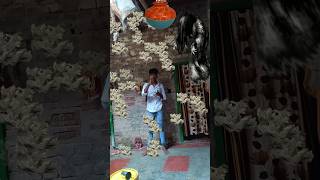 Aigiri nandani nandani song music cover love viralvideo viralvideo viralshort [upl. by Terencio264]