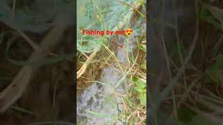 😱Mermaid caught on fishing net while fishing😲😲 ytshorts viralshorts motivation [upl. by Ennaegroeg873]