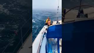 Orcas attack boat and take control of rudder orca [upl. by Behrens48]