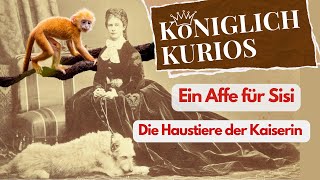 Ein Affe am Hof Sisi und ihr Haustier [upl. by Delle]