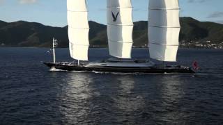 Maltese Falcon 2011 [upl. by Nnylyrehc149]