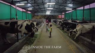 THE FIRST EVER TIBETAN DAIRY FARM IN NORTH INDIA KHERA CAMP DEHRADUN tibetanvlogger vlog [upl. by Formenti]