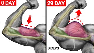 أقوي تمرين البايسبس لتوسيع البايسبس والذراع بسرعة  Wider Biceps Workout [upl. by Durant]