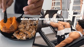 LEGS CALVES amp ARM WORKOUT  What I Eat Before Training [upl. by Roby]