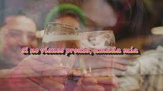 Penas negras Carmencita Lara Video Lyric edicion en 4k [upl. by Nealey]