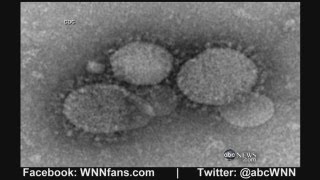 New SARSLike Virus With No Cure Kills at Least 27 [upl. by Lara]