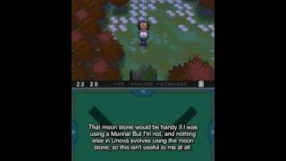 Lets Play Pokemon Black Part 9 Chasing Team Plasma in Pinwheel Forest catching Venipede [upl. by Othe203]