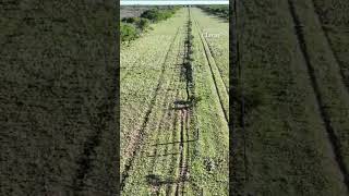 Con un dron encontraron a una niña de 3 años que estuvo 5 horas perdida en La Pampa [upl. by Richman896]