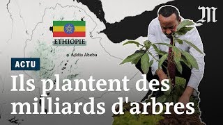 LEthiopie plante quatre milliards d’arbres en six mois [upl. by Rusticus]