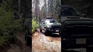 LOVE THIS TRAIL Whipsaw tacomaoffroad tacoma4x4 toyotatacoma adventure [upl. by Llednov]