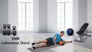 How to do a Self Myofascial Release SMR Latissimus Dorsi [upl. by Nwahs]