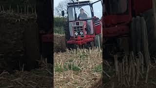 International 885XL Tractor at Lutterworth Ploughing Practice Day Sunday 14th April 2024 [upl. by Airotkiv]