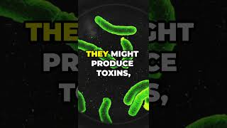 Bacterial ChitChat Quorum Sensing Explained facts [upl. by Pears]