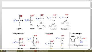 COURS DE BIOCHIMIE LES ACIDES AMINÉS [upl. by Kenway545]