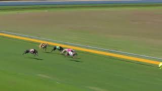 Bundaberg09092024Race6 [upl. by Gere913]