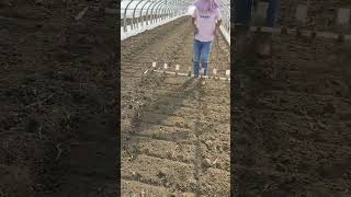 Planting Seeds Made Simple Watch amp Grow farming plants learning [upl. by Waly]