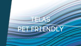 TELAS PET FRIENDLY [upl. by Sualocin]