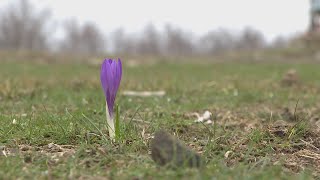 Sabato ultimo giorno di apertura impianti in Val di Luce [upl. by Alvar]