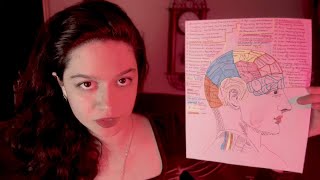 ASMR British Full Phrenology Exam Skull Measuring [upl. by Woothen]