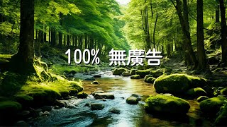 【100 無廣告 】  世界上最好聽的純音樂！值得你單曲圈的輕音樂合輯！  舒服鋼琴讓你很快靜下心來早晨正能量音乐治療音樂冥想舒緩按摩美麗的鳥鳴與流水 [upl. by Wendelin380]