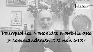 Pourquoi les Noachides nontils que 7 Lois [upl. by Hyman]