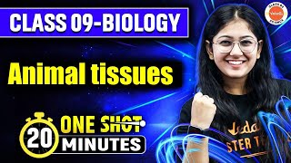 Animal Tissues Class 9 One Shot In 20 Minutes  Class 9 Biology  CBSE 202425 [upl. by Ennoval]