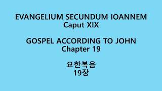 요한복음 19장 라틴어 성경Evangelium secundum Ioannem XIX Nova VulgataJohn 19 Neo Vulgate Latin Bible [upl. by Ahsac]