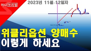 위클리옵션 양매수 이렇게 하세요  위클리옵션  옵션양매수  2023년 11월 12일 [upl. by Broeder]