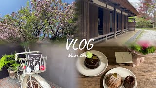 VLOG⌇0歳ﾍﾞﾋﾞとお出かけ4days🧋春の陽気と初夏の気配🍃美味しいものを食べまくる幸せ🥄お散歩、お料理、購入品etc [upl. by Atnwahsal675]