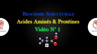 les acides aminés  les propriétés chimiques part 4 [upl. by Publias12]