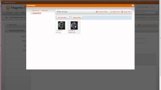 Magento  locating image URL link [upl. by Htebasyle]