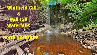 Whitfield amp Mill Gill Waterfalls near Askrigg North Yorkshire [upl. by Ron884]