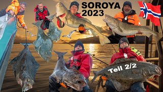 Angeln in Norwegen 2023  Extremes Soroya Teil 22 [upl. by Wolgast341]