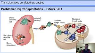 6 vwo  Afweer  7  Transplantaties en afstotingsreacties [upl. by Marlie]