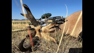 24 Wyoming Archery Antelope Hunt [upl. by Airtemad]