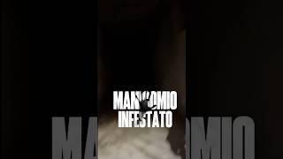 Spoiler MANICOMIO INFESTATO video completo nel canale gost urbex esplorazione paranormal [upl. by Auohp]