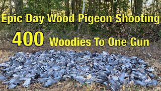 Shooting Pigeon  Wood Pigeon Shooting Epic Day 400 Shot To One Gun [upl. by Gnemgnok311]