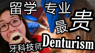 牙科技师假牙技师最贵牙科专业DenturistDenturism专业学费课程内容录取要求补牙费用考试面试场景 [upl. by Eeznyl]