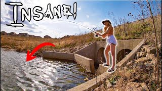 This SPILLWAY is LOADED w EXOTIC RARE FISH NonStopAction [upl. by Skantze]