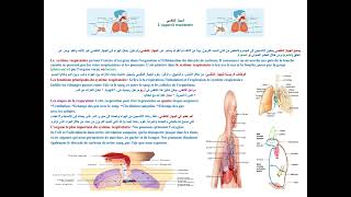 الجهاز التنفسي Lappareil respiratoire [upl. by Obau99]